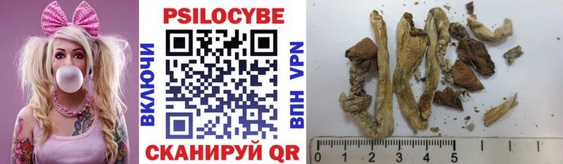 mega зеркало  наркошоп  Кимовск  Псилоцибиновые грибы GOLDEN TEACHER 
