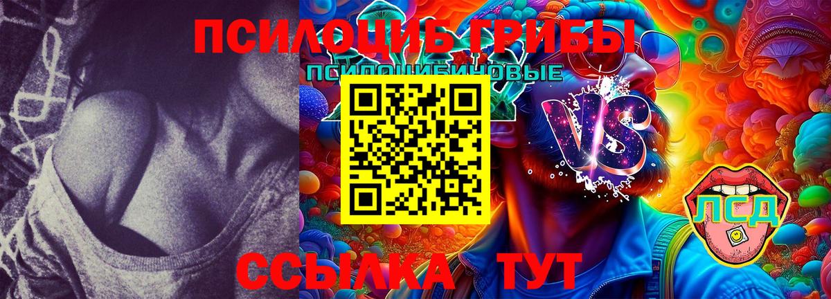 Галлюциногенные грибы Psilocybine cubensis Кимовск