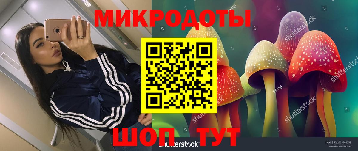 Псилоцибиновые грибы Psilocybe  Кимовск 