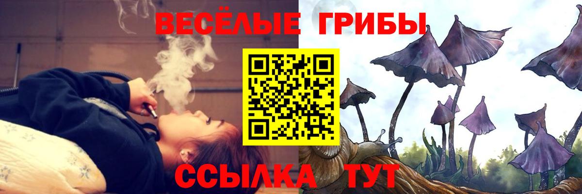 Галлюциногенные грибы Psilocybine cubensis Кимовск